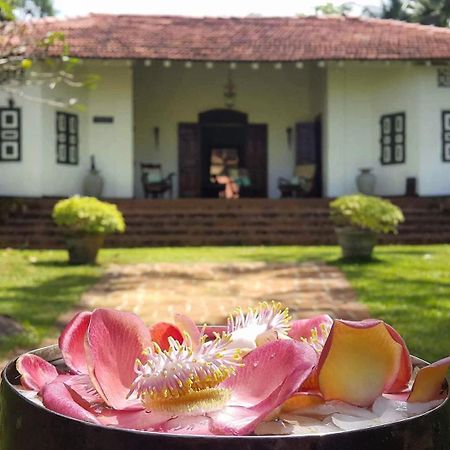 Bed and Breakfast Templeberg à Walahanduwa Extérieur photo