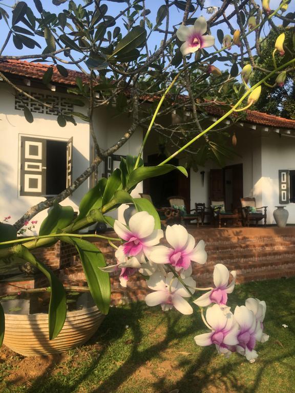 Bed and Breakfast Templeberg à Walahanduwa Extérieur photo
