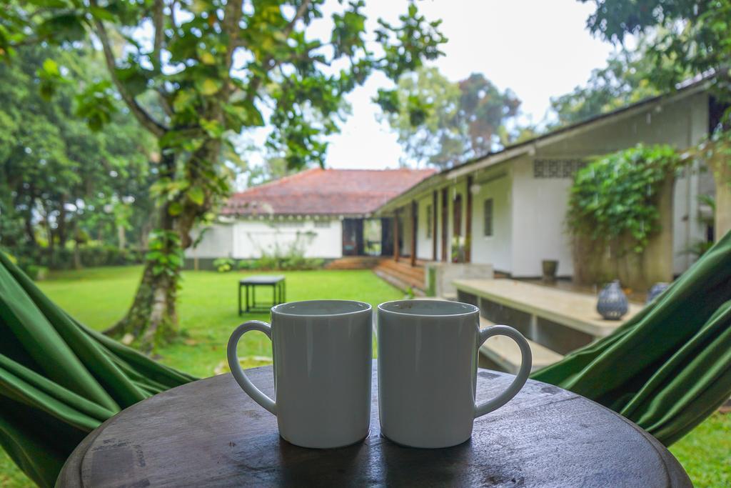Bed and Breakfast Templeberg à Walahanduwa Extérieur photo